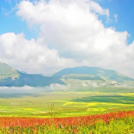 Countryside In With Swimming Pool 别墅 Amandola