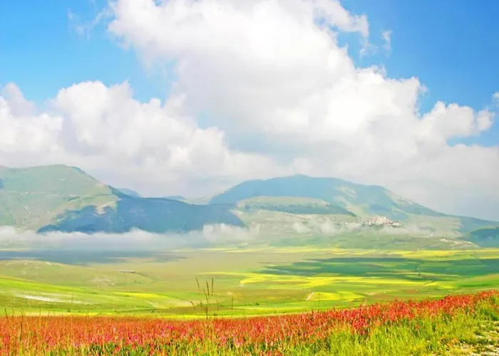 Countryside In With Swimming Pool